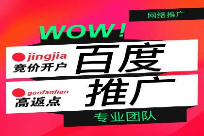 充值返点机制在社交平台的应用案例